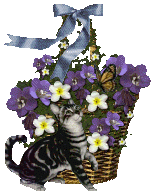 The Site Fights Blooming Baskets